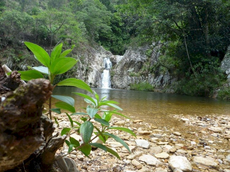 Um passeio revigorante a 39 kms de Passos