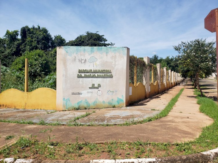 Projeto de pesquisa prevê atividades físicas no Parque Emílio Piantino