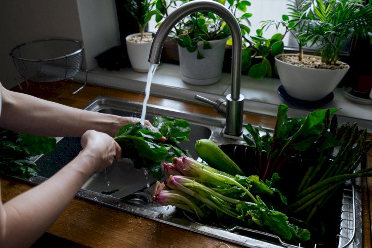 Sete erros comuns na higienização e conservação dos alimentos