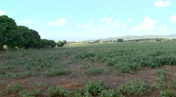 Proposta de compensação ambiental da fábrica da Heineken em Passos foi aprovada