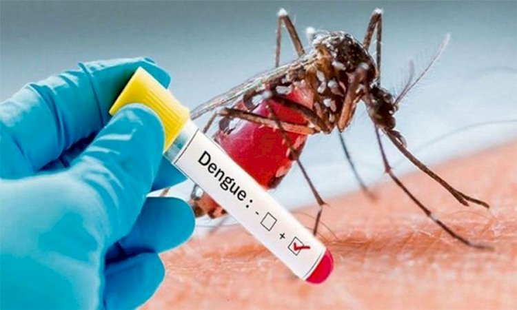Aumenta em 300 por cento o registro de suspeita de dengue em Passos