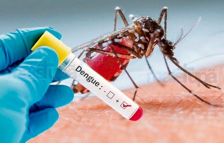 Comissão quer ouvir secretários sobre avanço da dengue em Passos