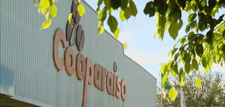 Cooparaiso faz rateio de R$83 mi em prejuízos para cooperados