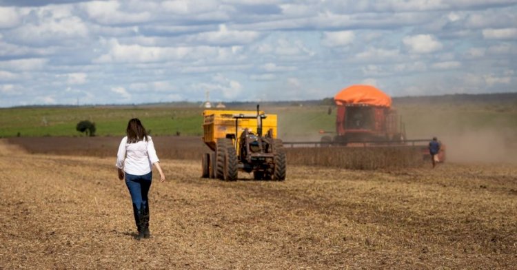 Atuação feminina no agronegócio avança em Minas