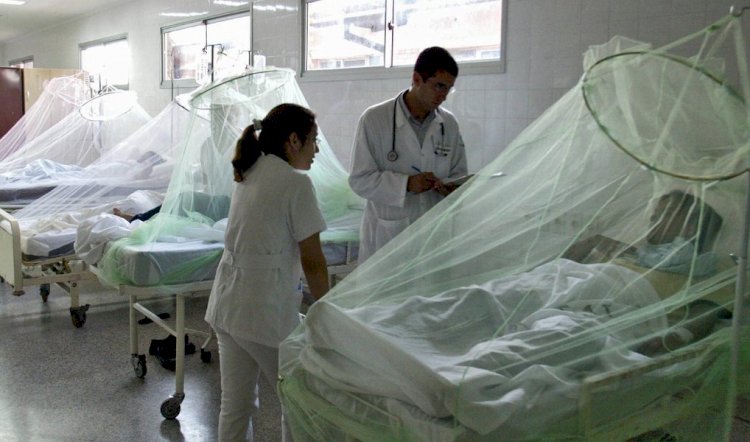 Casos de dengue em Passos aumentam 22,71% em uma semana