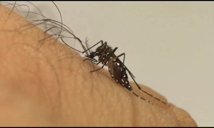 Passos confirma 4ª morte por dengue e registros chegam a 7.125