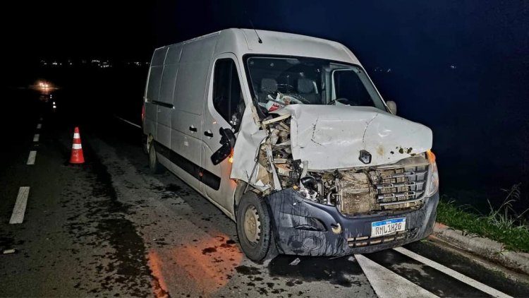 Animais na pista causam acidente na MG 050 em Passos