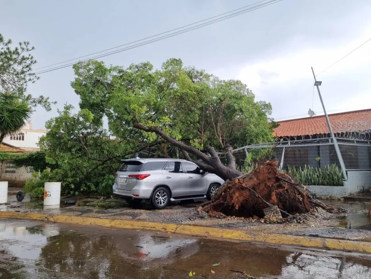 Semana será de chuva, que continua fazendo estragos na região