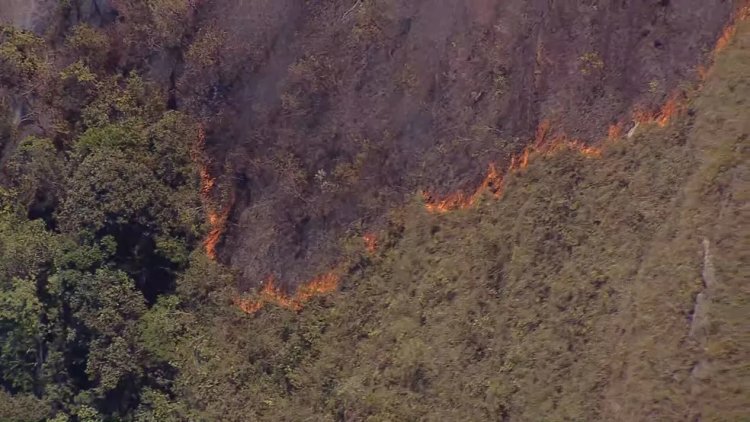 Número de incêndios florestais aumenta 117% em Minas