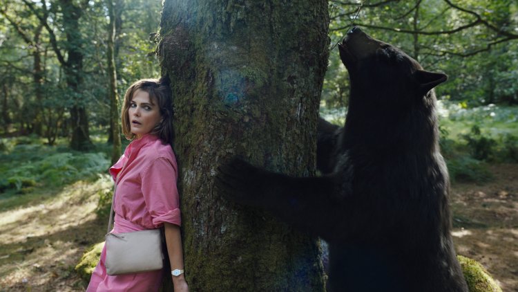 'O Urso do Pó Branco' chega ao catálogo do Telecine nesta quinta