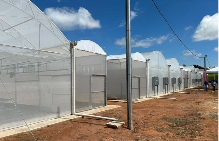 Uemg investe R$ 3,43 mi em fazenda experimental de Passos