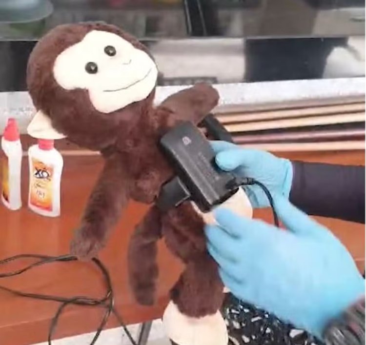 Macaco de pelúcia é encontrado com tornozeleira em Capitólio