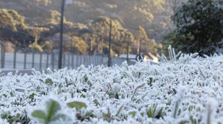 Onda de frio chega na região, que pode ter geada nesta quinta-feira