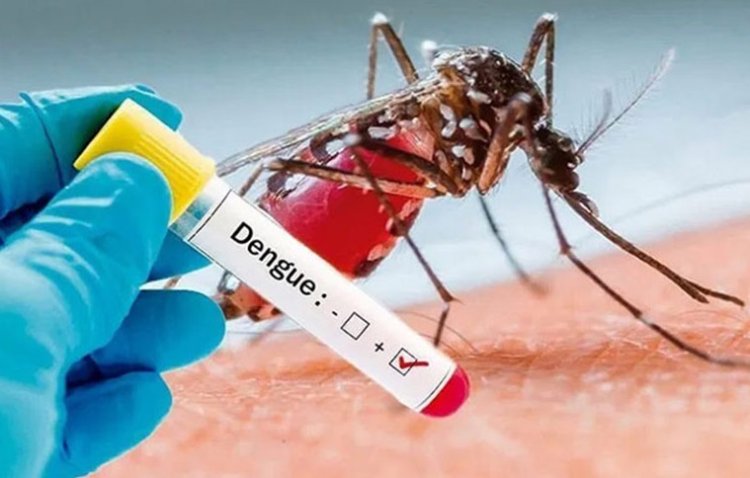 Passos tem crescimento de 37% de 2023 para 2024 em casos de dengue