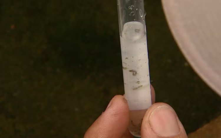 Passos bate recorde histórico de ocorrências de dengue