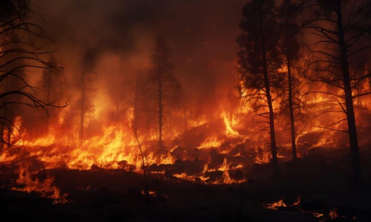 Primavera começa neste ano com influência do fenômeno La Niña