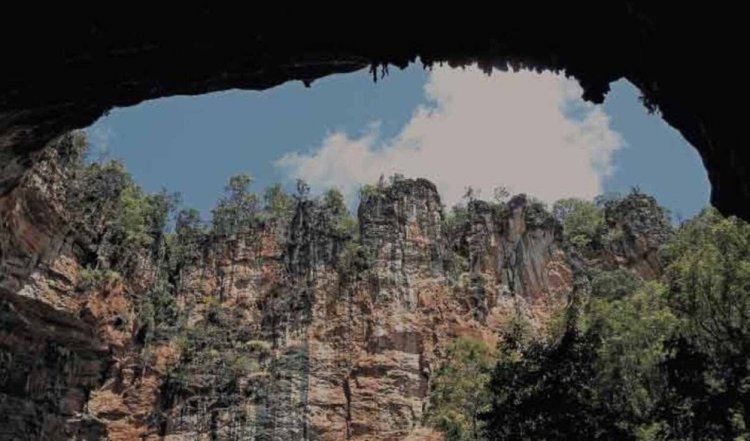 Parque do Pereaçu avança para se tornar patrimônio