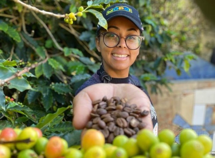 Mineira produz café de R$ 34 mil a saca