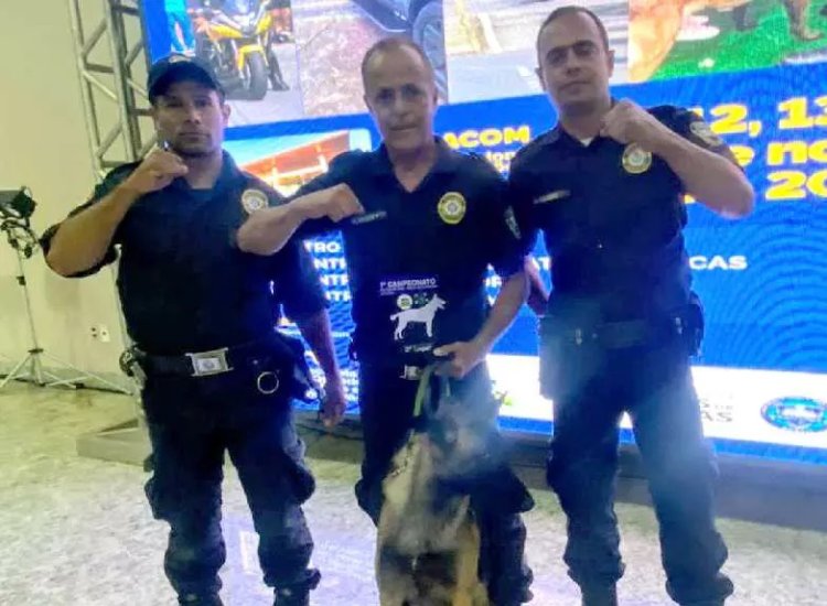 Cão da Guarda se destaca em Campeonato