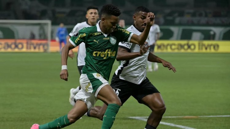 Briga, rivalidade e revanche: Palmeiras e Botafogo se reencontram