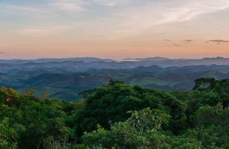 Minas lidera criação de reservas naturais